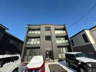 LIFASの画像