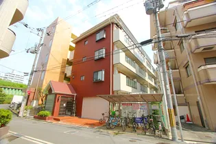 サンシャーリーの画像