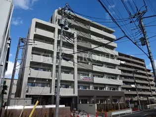 エクセルソフィアの画像