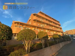 ヒロチサトの画像