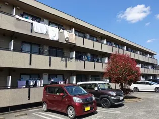 ランドウィン 六番館の画像