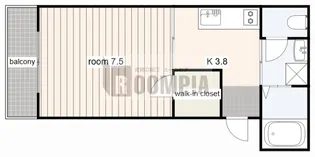 FM TOWN【2階】の間取り