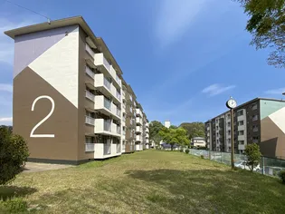 小田原橘の画像