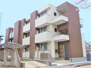 アマランサスの画像