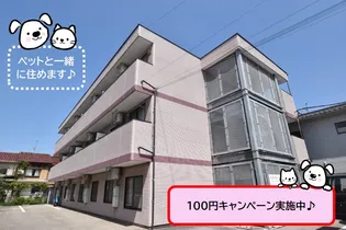 ティエラIの画像