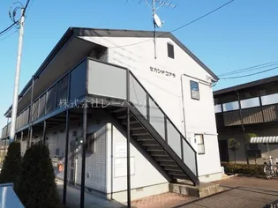 セカンドコアラの画像