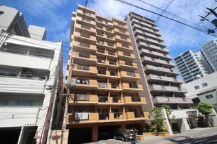 ダイアパレス舟入幸町【10階】の外観