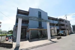 パーシモンの画像