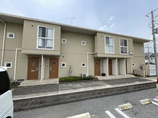 MAST サンベルデBの画像