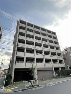 イーリス ニシオオジマの画像