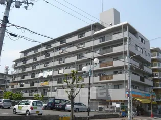 グレイス辻本の画像