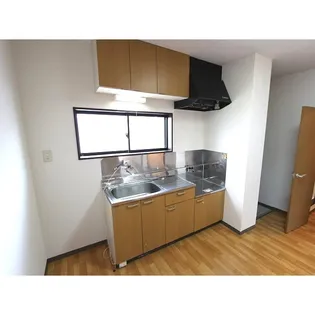 ニューレックアピオンII【1階】のキッチン