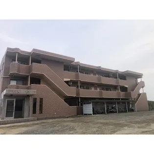 PIAの画像