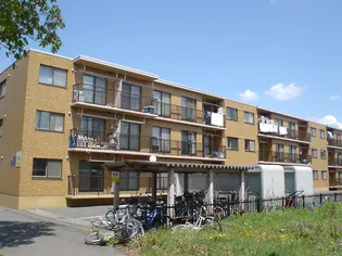 メゾンドール明星の画像