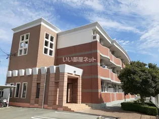 オビー ビューの画像