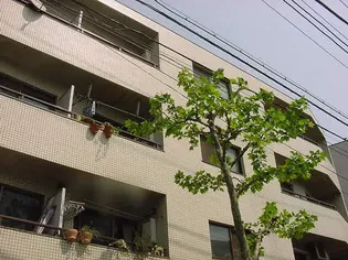 パレドール西荻窪 301号室【3階】の外観