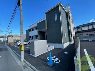 ブランニューY&Sの画像