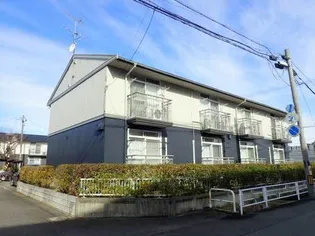 モンアミEの画像