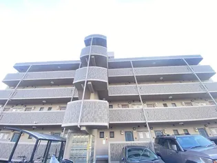 サザンクロスの画像