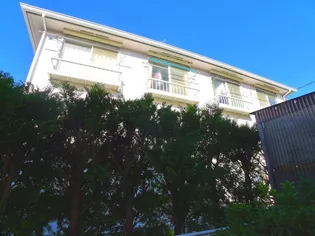 ウィンドミル芝の画像