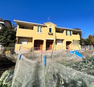 プランタンIIの画像