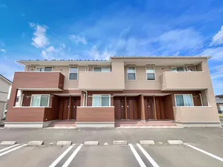 メディウム マレIの画像