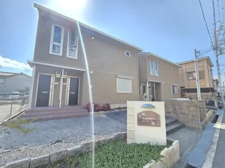 アガパンサスの画像