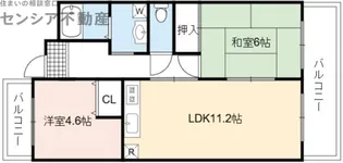 サンハイム今福【7階】の間取り
