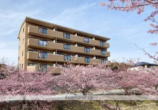 静岡県浜松市中央区大山町【マンション】の外観