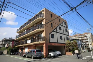 エーデルワイスの画像