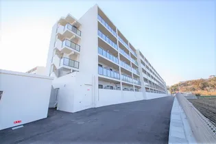 福岡県福岡市西区九大新町【マンション】の外観