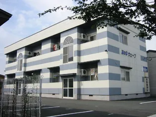 BIGウェーブの画像