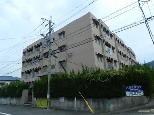 杉山ビル【4階】の外観