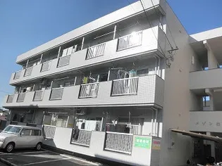 メゾン由の画像