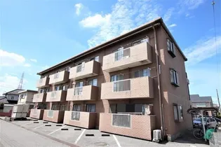 プリメーラカリコミの画像