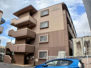 TN アルカンシェルの画像