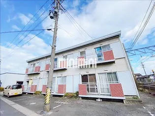 シティ フラワアの画像