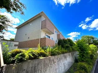 デュラカーサ コブシIVの画像