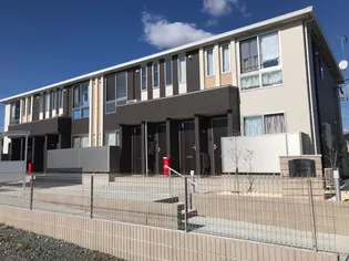 ハナミズキの画像