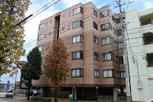 ロイヤルコンフォート21【3階】の外観