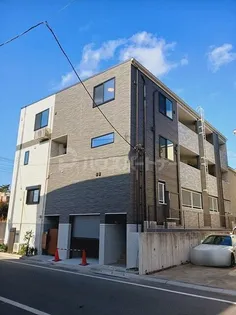 フォーリーフ クローバーの画像