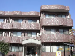 アウレア レックスの画像