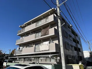 プリムローズ若海の画像