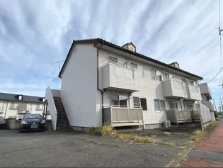 ヴィブレ シンの画像