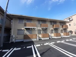 コスモス新花の画像