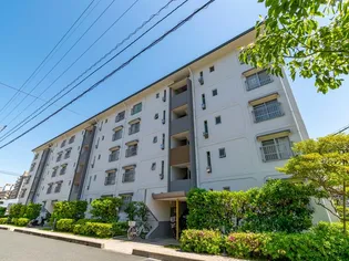 UR十郎川の画像