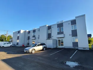 カモミールの画像