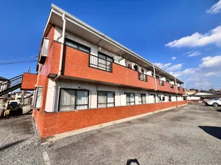 ビングスフジの画像