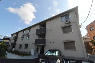 コットン フローラの画像