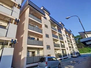 霞雅ビルBの画像